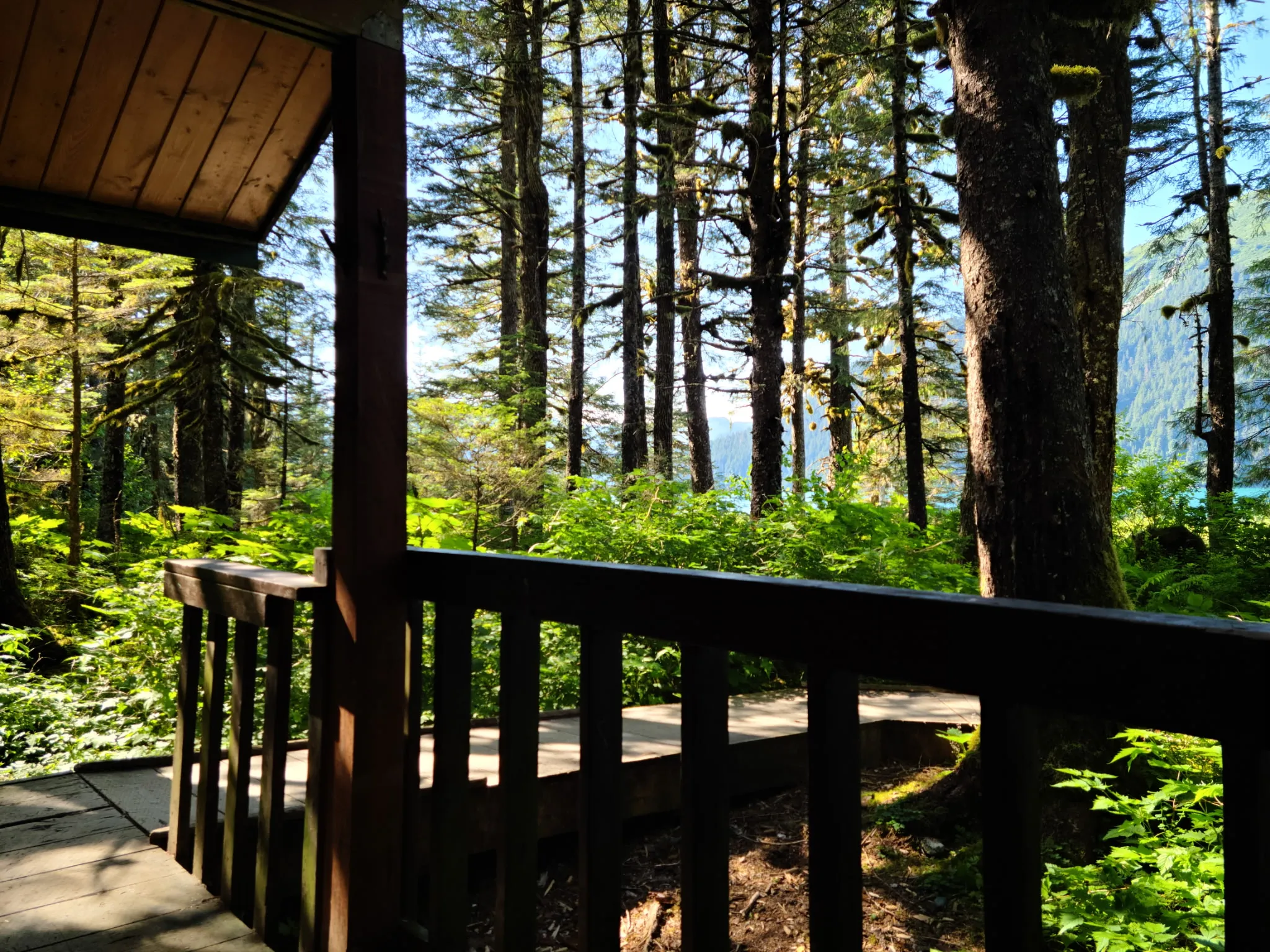 Looking out from a cabin porch through spruce toward glacial water