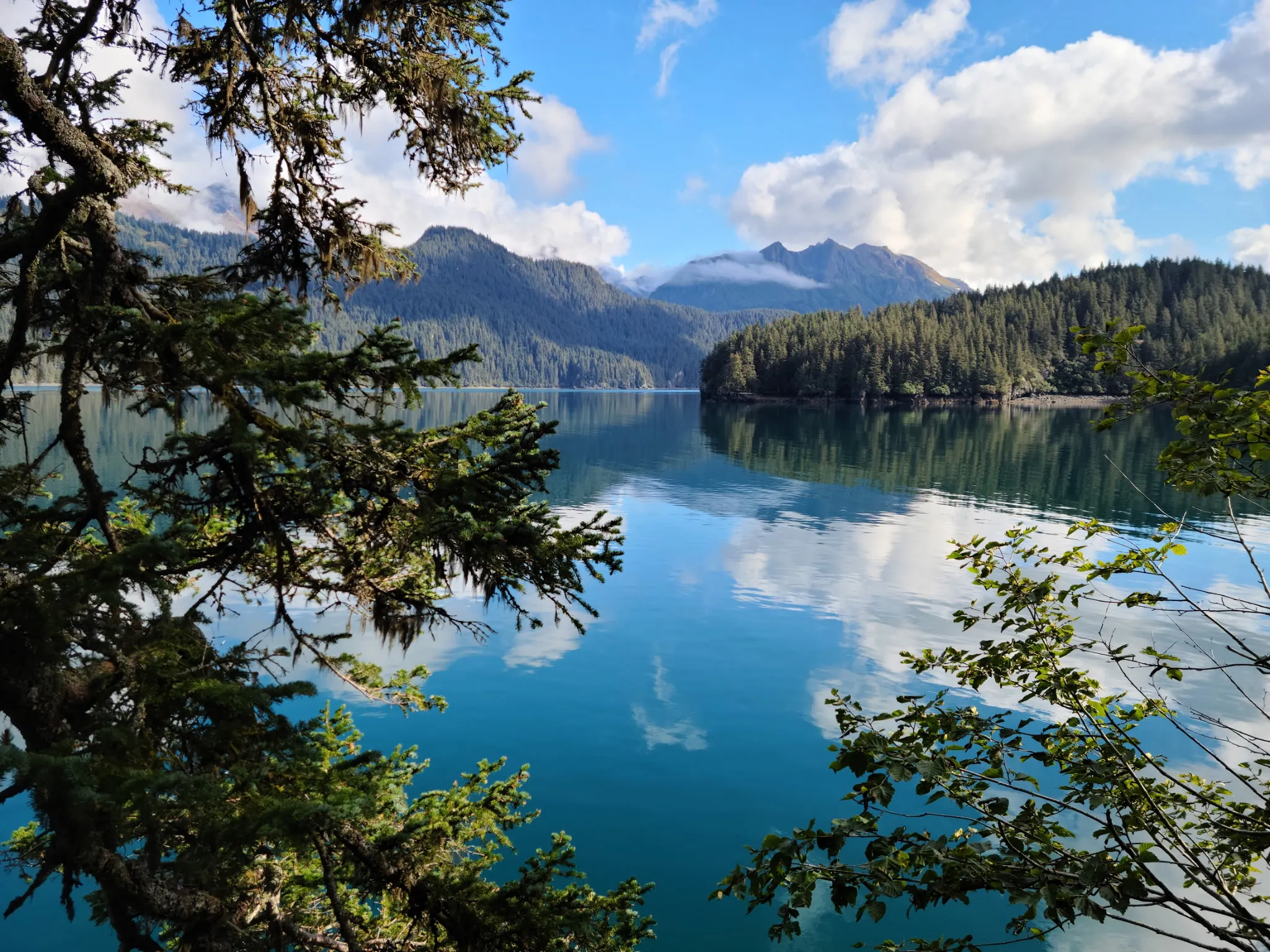 A still fjord mirroring forested mountains under a bright Alaska sky