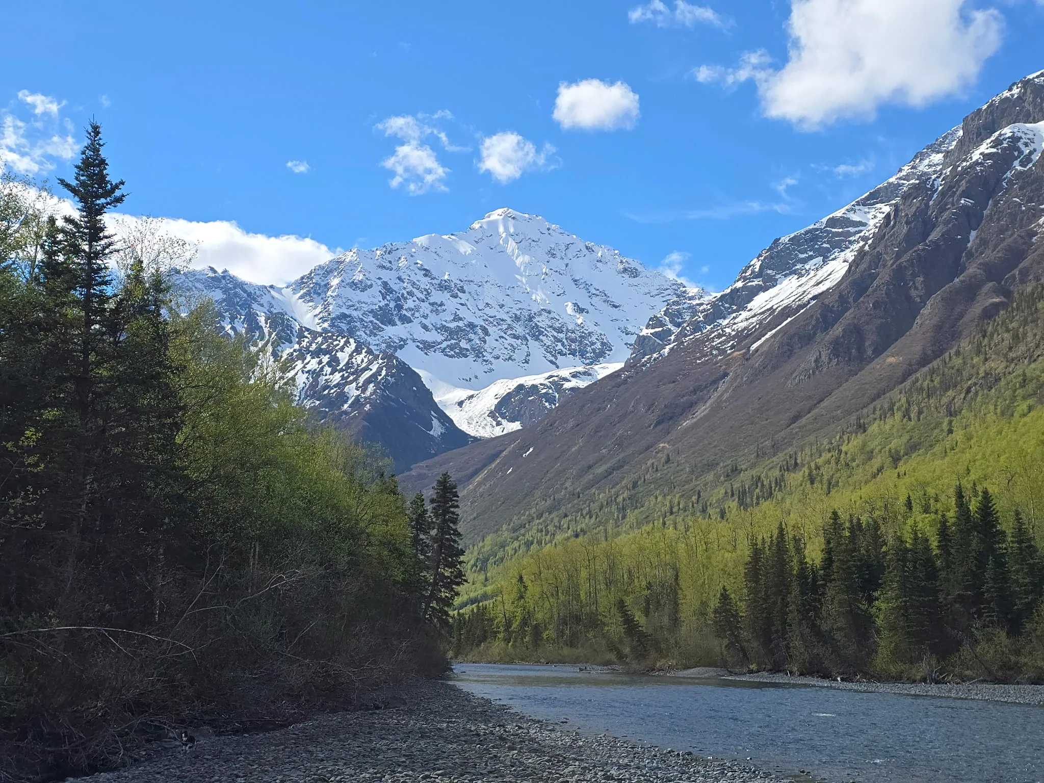 A braided glacial river running out of a snow-capped valley in the Chugach